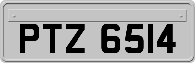 PTZ6514