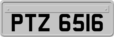 PTZ6516