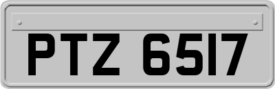 PTZ6517