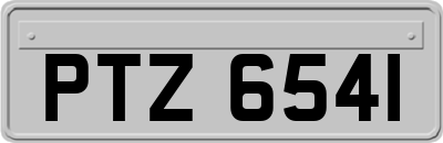 PTZ6541