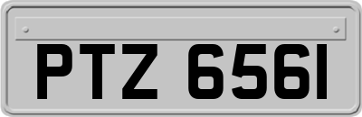 PTZ6561