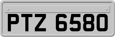 PTZ6580