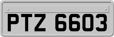 PTZ6603