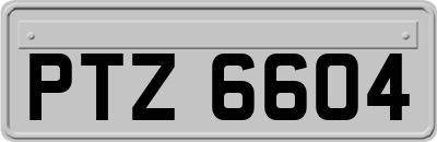 PTZ6604