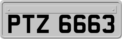 PTZ6663