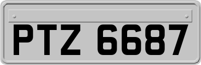 PTZ6687