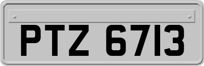 PTZ6713