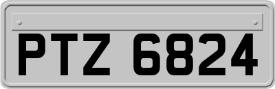 PTZ6824