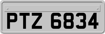 PTZ6834