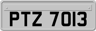 PTZ7013