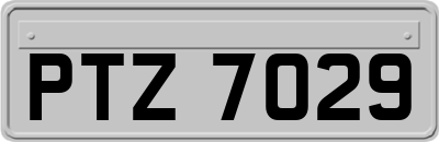 PTZ7029