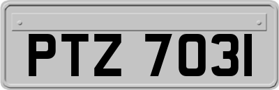 PTZ7031