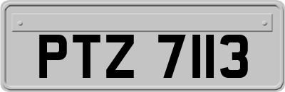 PTZ7113