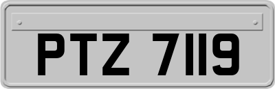 PTZ7119