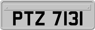 PTZ7131