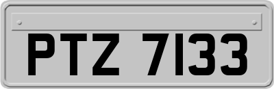 PTZ7133