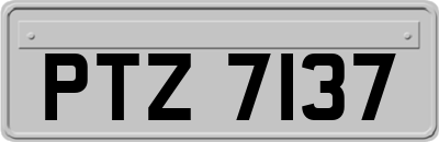 PTZ7137