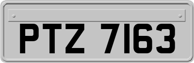 PTZ7163