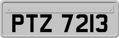 PTZ7213