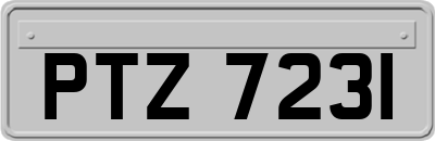 PTZ7231