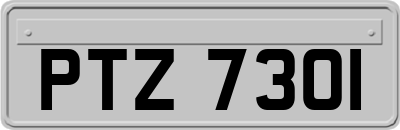 PTZ7301