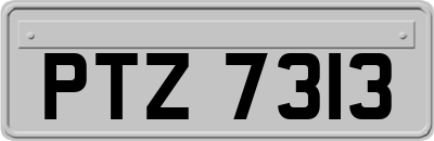 PTZ7313