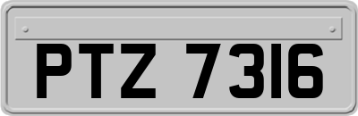 PTZ7316