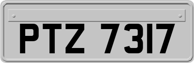 PTZ7317