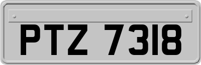 PTZ7318