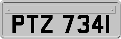 PTZ7341