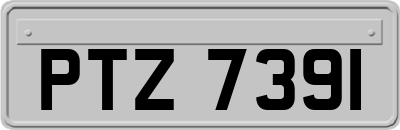 PTZ7391