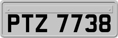 PTZ7738