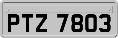 PTZ7803