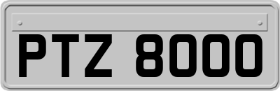 PTZ8000