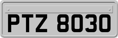 PTZ8030