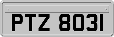 PTZ8031