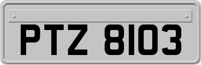 PTZ8103