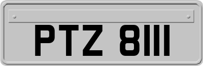 PTZ8111