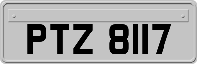 PTZ8117