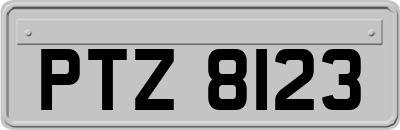 PTZ8123