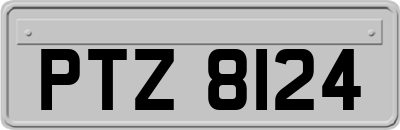 PTZ8124