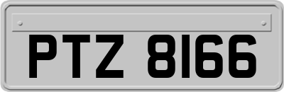 PTZ8166