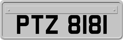 PTZ8181