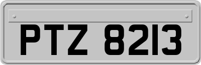 PTZ8213