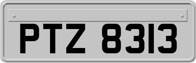 PTZ8313