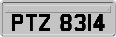 PTZ8314