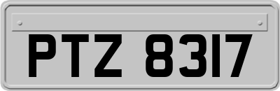 PTZ8317