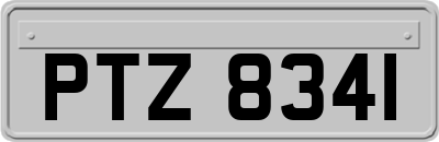 PTZ8341