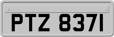 PTZ8371