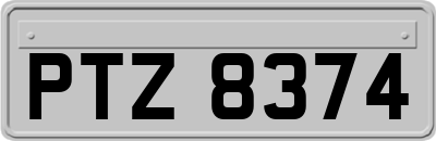 PTZ8374